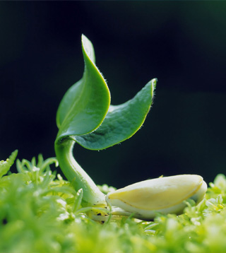高效塑料橡膠催化劑,賦予制品良好的彈性和長(zhǎng)久的使用壽命